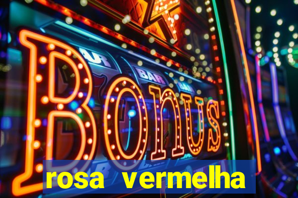 rosa vermelha (letra e cifra)